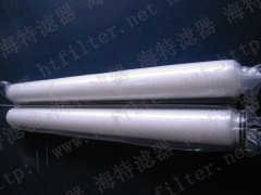 5寸聚四氟乙烯（PTFE）膜水濾芯